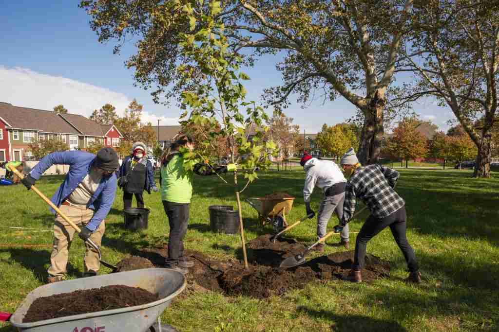 CMHA_tree_planting_523-1-scaled