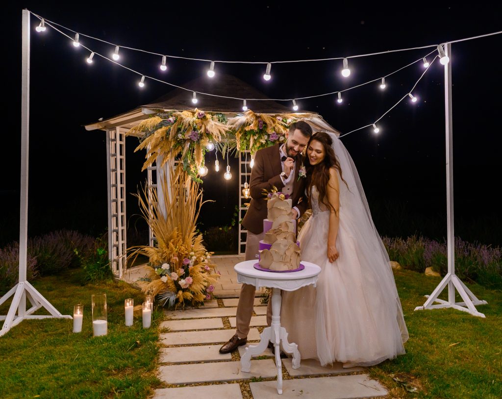 Front view of groom in elegant suit with bride in wedding fashionable dress, looking at designer purple wedding cake while standing near decorated with dried flowers gazebo and lighting lamps