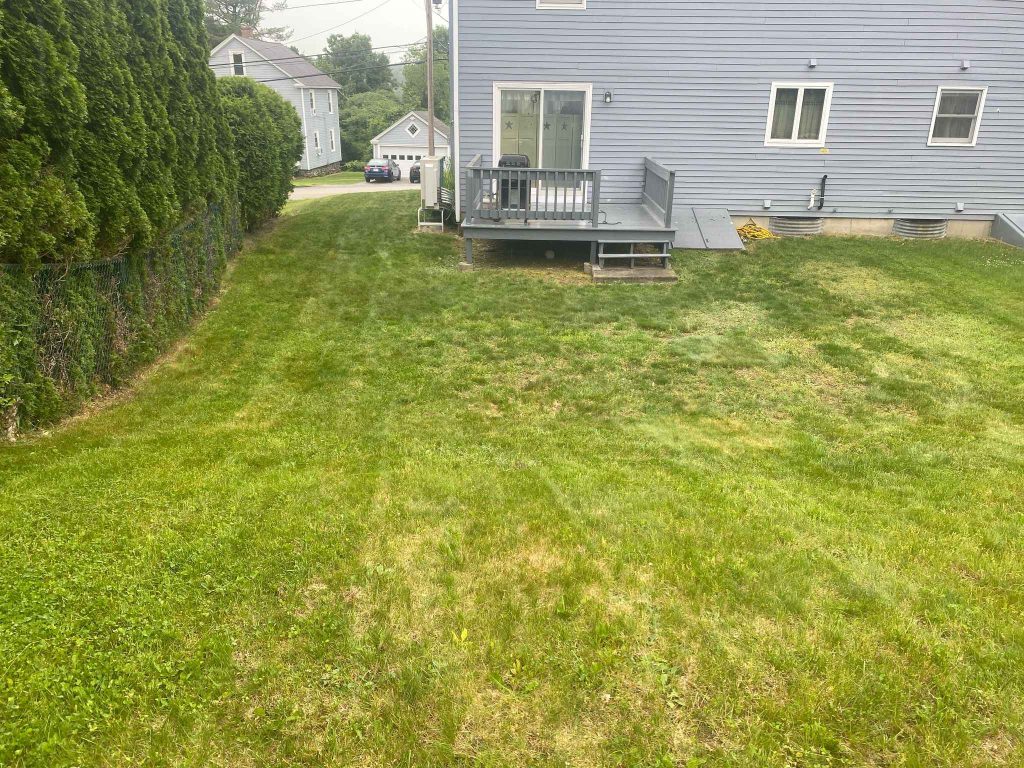 best lawn care company in marlborough ma