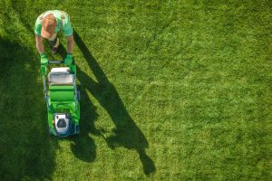 SBLC Lawn Service Metairie LA