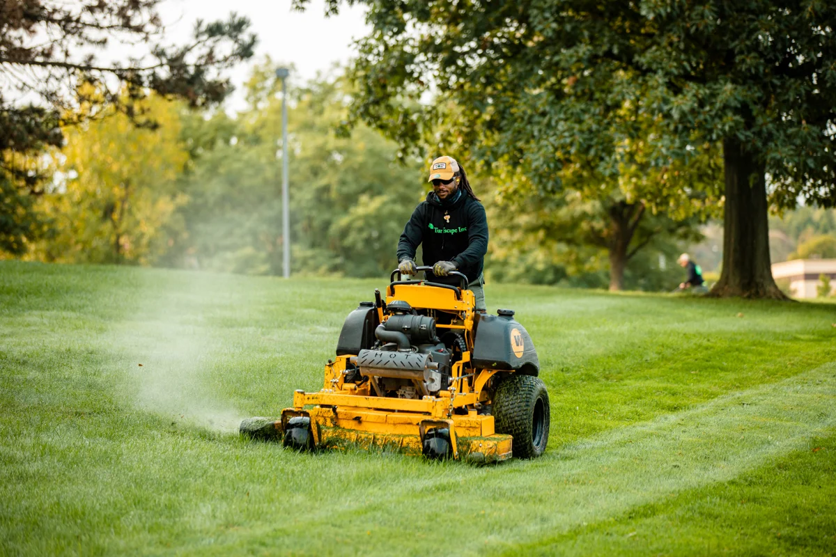 lawn service frisco