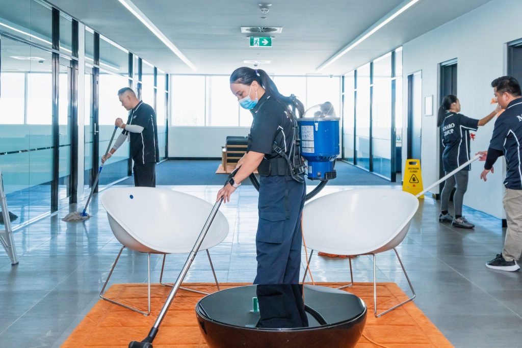 professional cleaning services