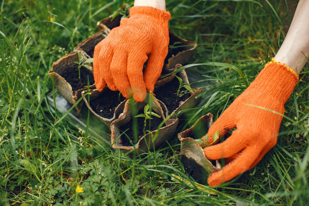 Expert Lawn Care Services in Frisco