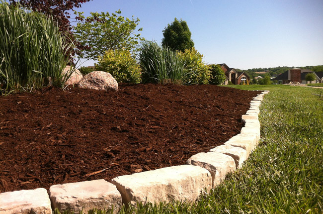 Expert Lawn Care Services in Frisco