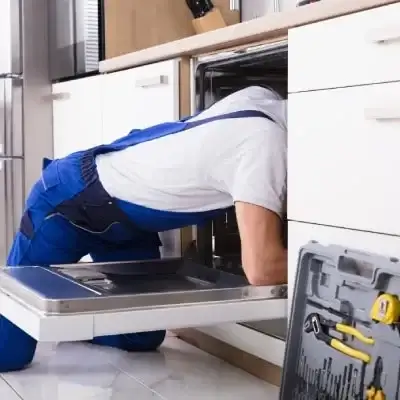 Professional Appliance Repairs