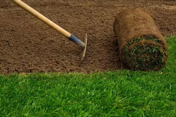 Efficient Land Clearing