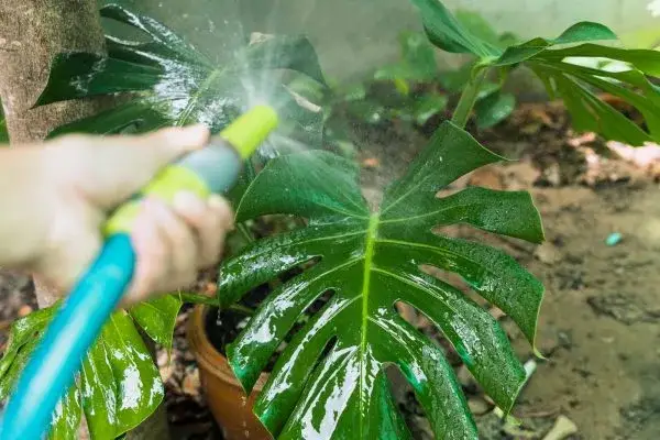 landscape installation services north little rock ar