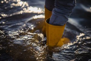 flood cleanup services in greenfield wi