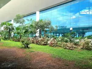 Commercial Landscape Installation Bryant AR