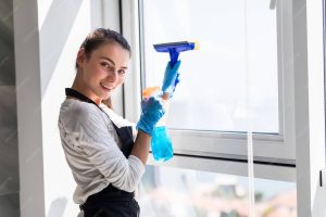Residential Window Cleaning Services in Marysville WA