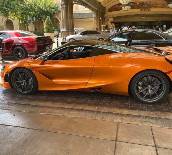 Dream Exotics