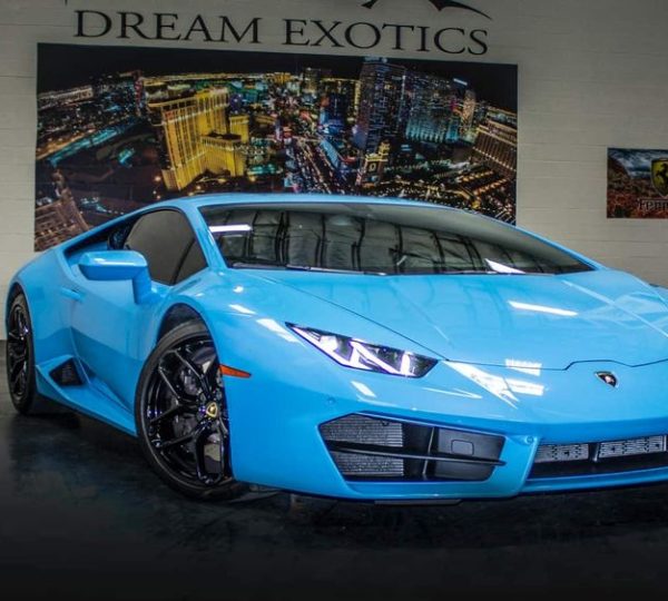 Dream Exotics
