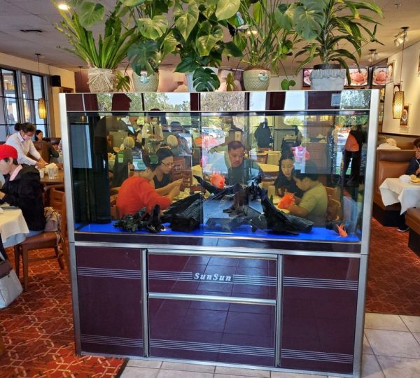 Classic Chinese Restaurant Laguna Hills