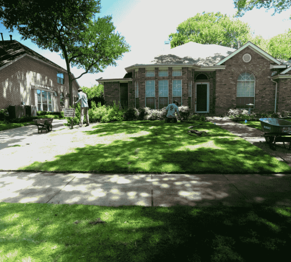 Sod Installation Near Me