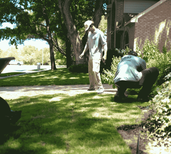 Sod Installation Near Me