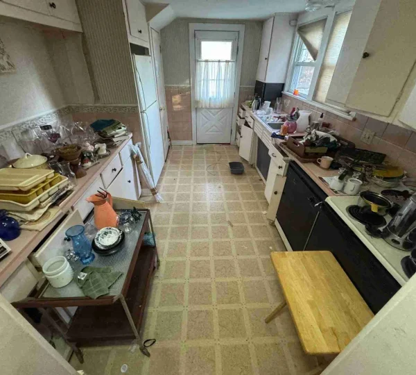 Hammerhead Haul Away