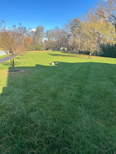 Lawn Popper’s