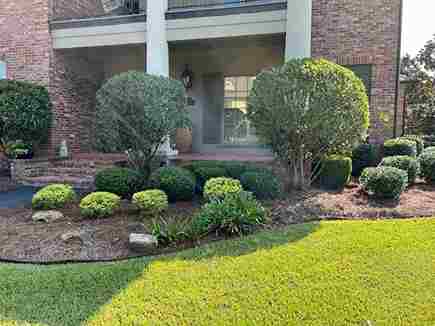 Texas Sod Pros