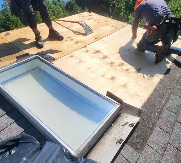 FH Renovation NYC