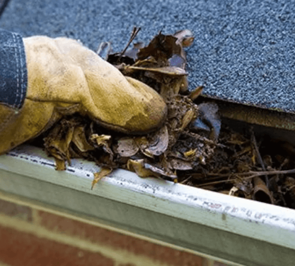 Lightning Rain Gutters