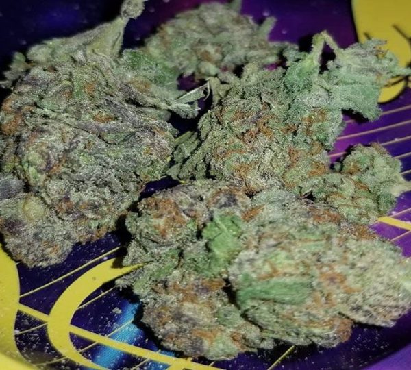 Legal Herb Dispensary