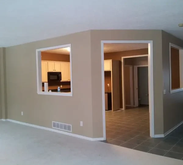 Finish Concepts Pro Painting