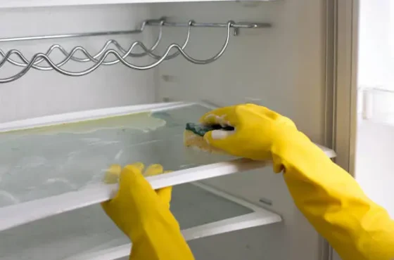 10 Easy Tips for Cleaning Fridge