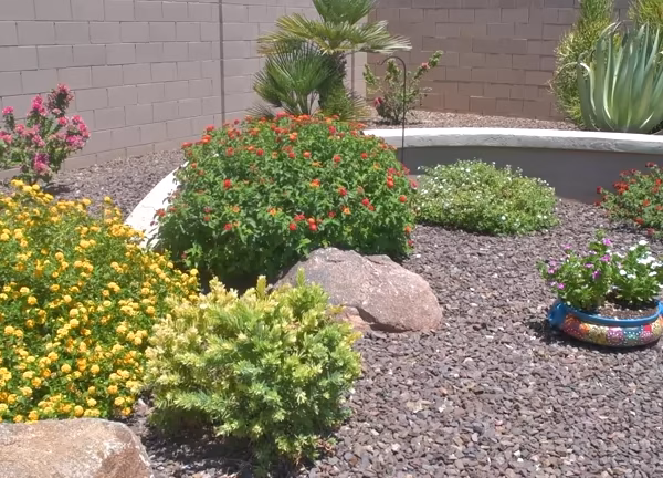 backyard landscaping ideas with fire pit