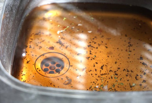 How to Get Rid of Drain Flies