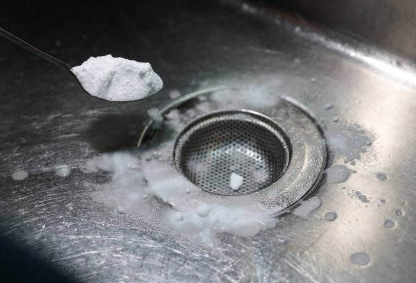 How to Get Rid of Drain Flies