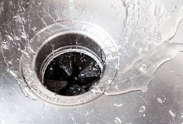 How to Get Rid of Drain Flies