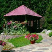 gardening in the rocky mountain foothills in october
