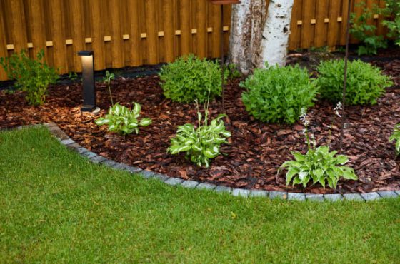 10 Creative Backyard Landscaping Ideas with Fire Pit