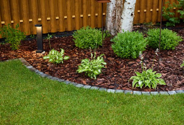 backyard landscaping ideas with fire pit