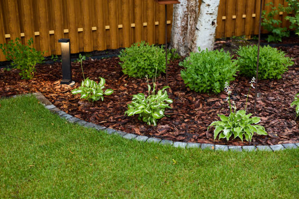 10 Creative Backyard Landscaping Ideas with Fire Pit