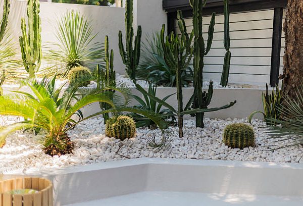 backyard landscaping ideas with fire pit