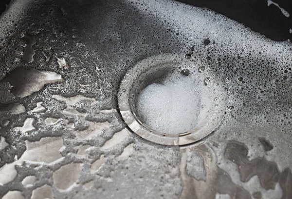 How to Get Rid of Drain Flies