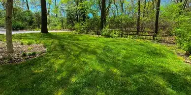 The Sod Pros Landscape