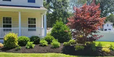The Sod Pros Landscape