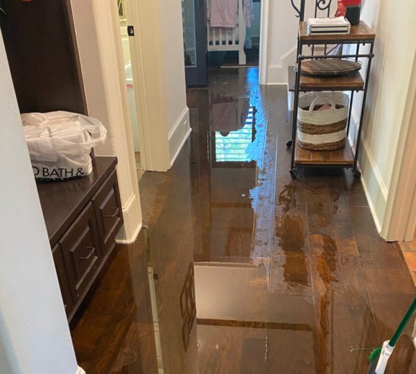 Orbit Water Restoration