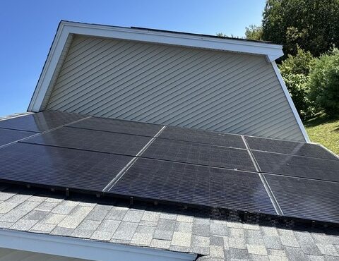Critter Solar Guards