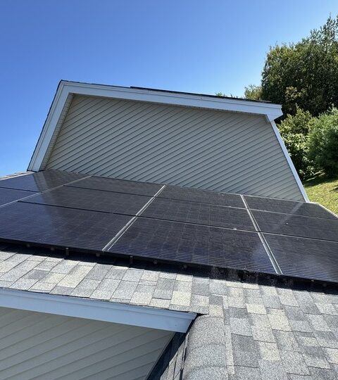 Critter Solar Guards