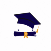 Premium Assignment Help